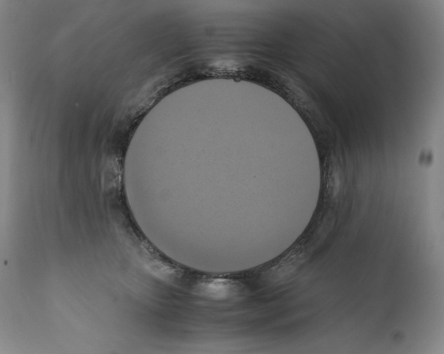 X0000110730467200907101433