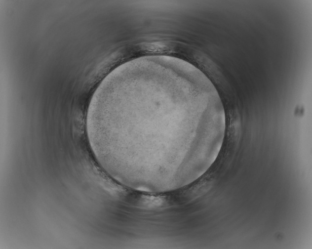 X0000110730469200907101433