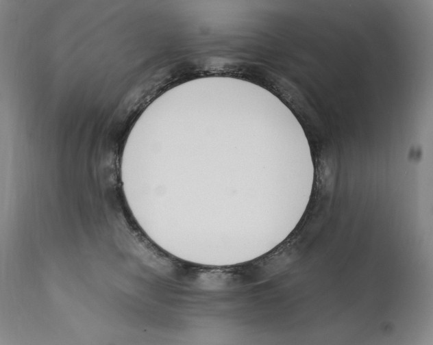 X0000110730470200907101433