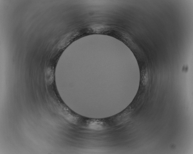 X0000110730471200907101433