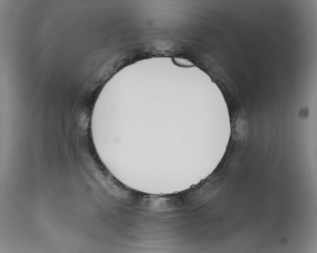 X0000110730472200907101433