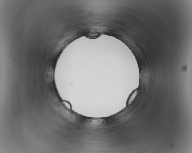X0000110730474200907101433