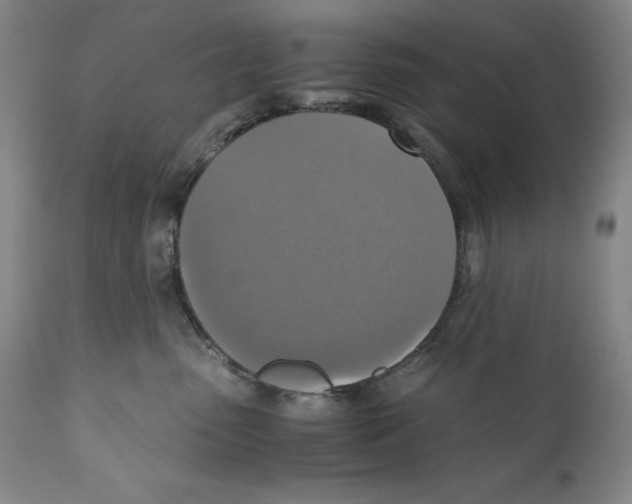 X0000110730475200907101433