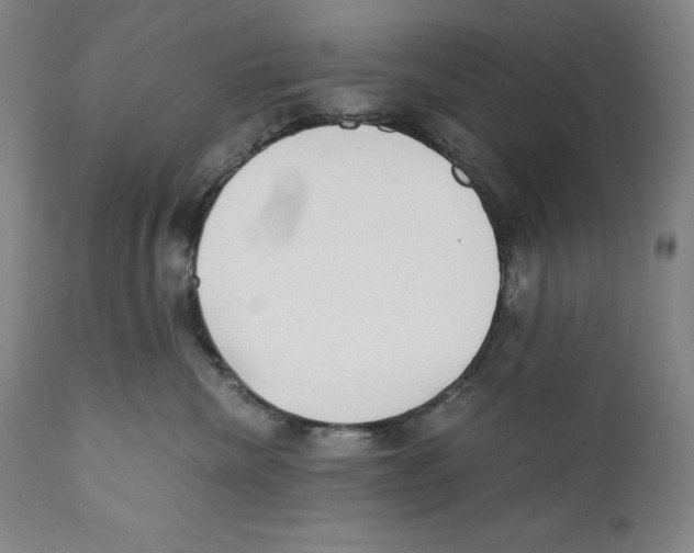 X0000110730476200907101433