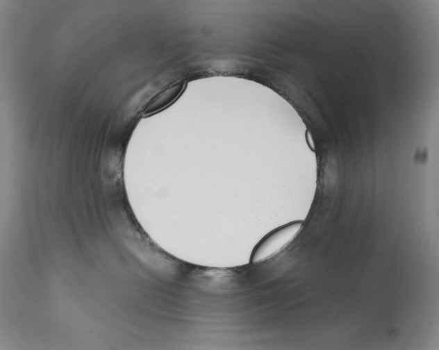 X0000110730478200907101433