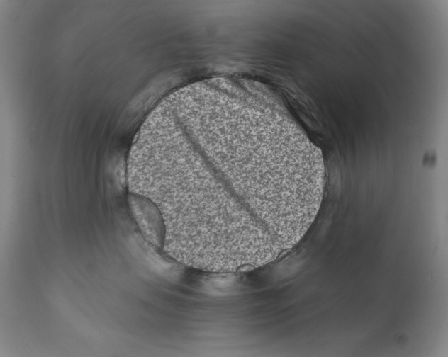 X0000110730479200907101433