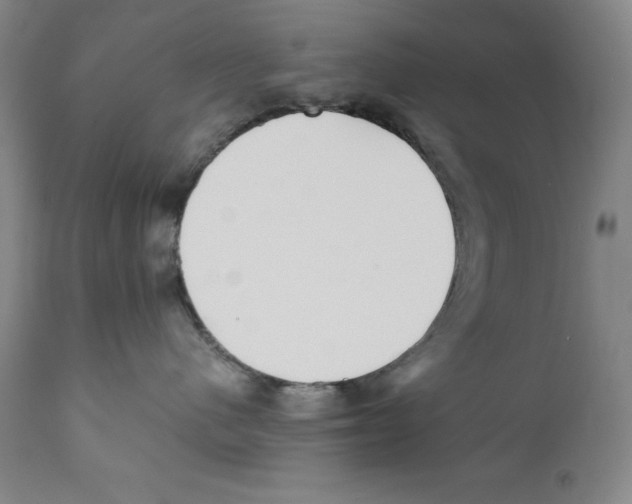 X0000110730480200907101433