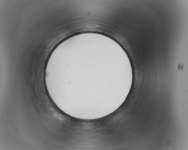 X0000110730481200907101432