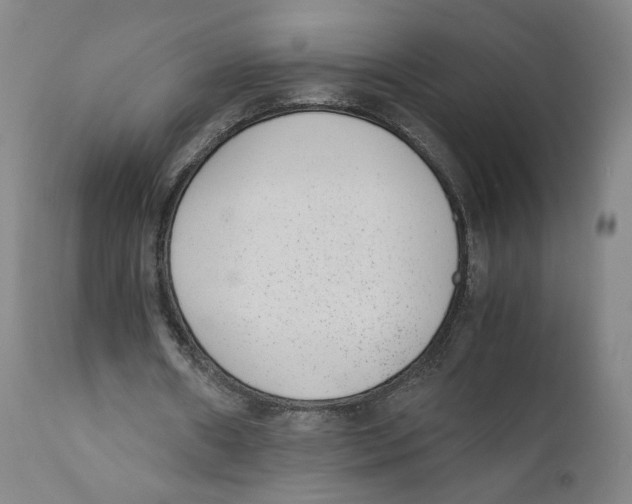 X0000110730482200907101432