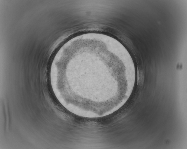 X0000110730483200907101432