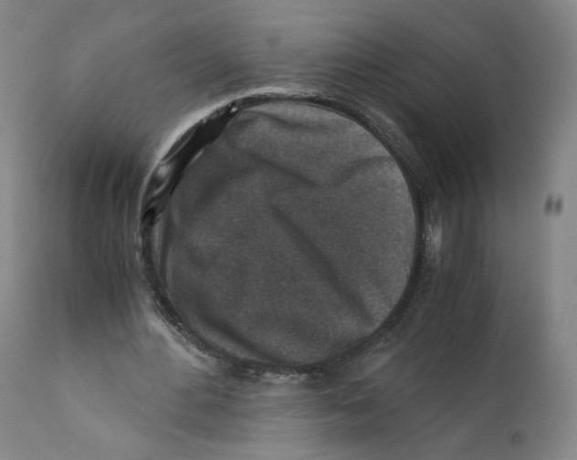 X0000110730484200907101432