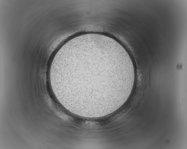 X0000110730487200907101432