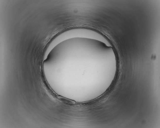 X0000110730489200907101432