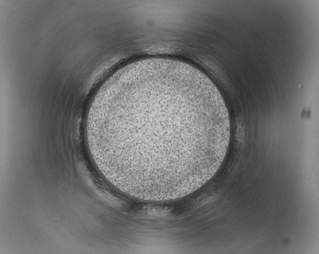 X0000110730491200907101432