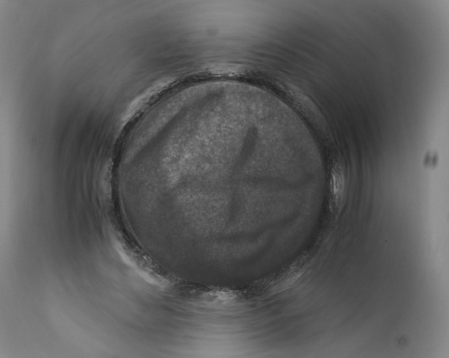 X0000110730492200907101432