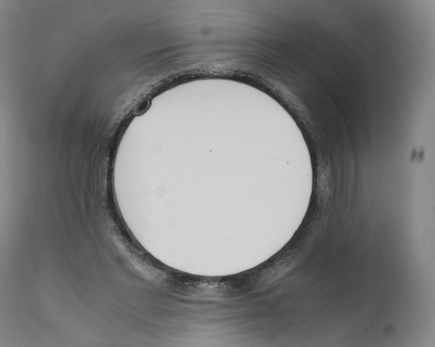X0000110730493200907101432