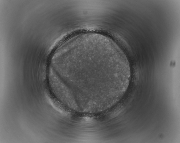 X0000110730496200907101432