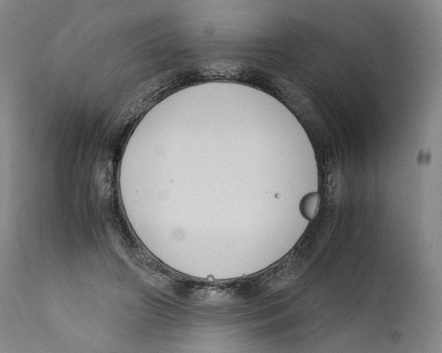 X0000110730498200907101432