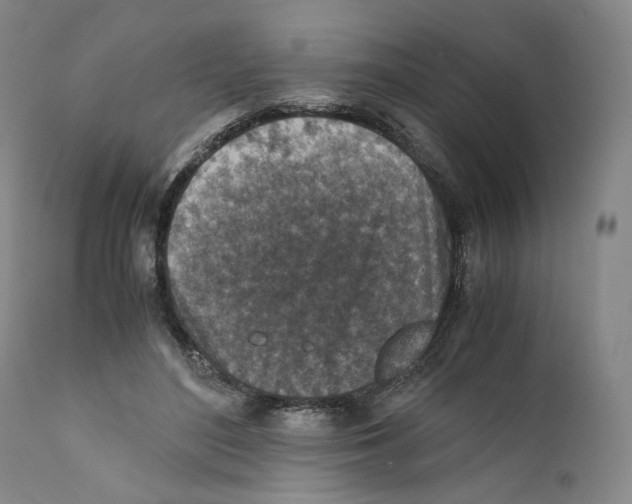 X0000110730500200907101432