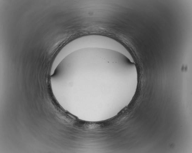 X0000110730501200907101432