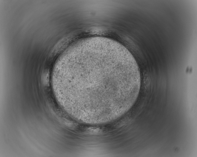 X0000110730502200907101432