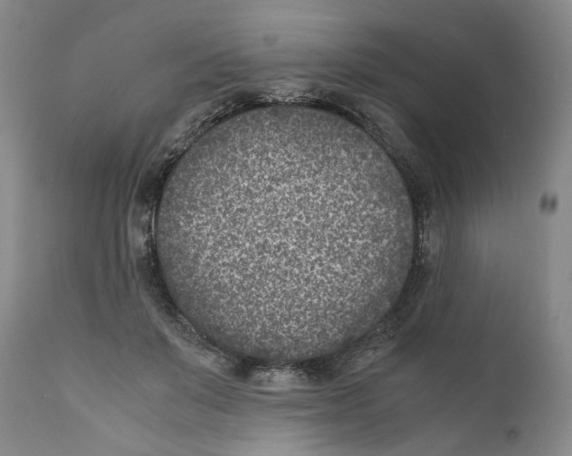 X0000110730503200907101432
