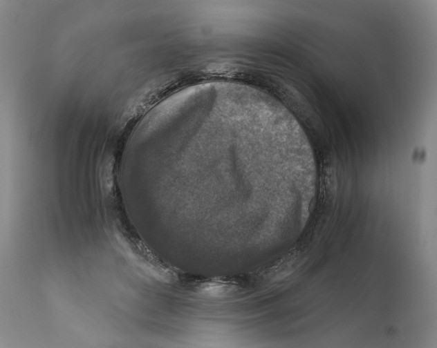 X0000110730504200907101432