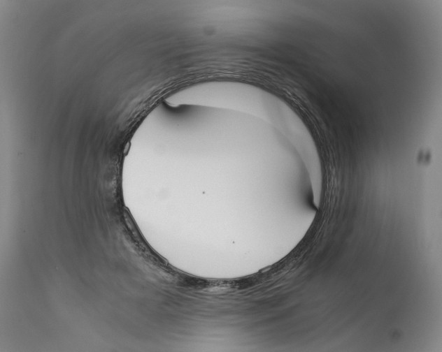 X0000110730505200907101432