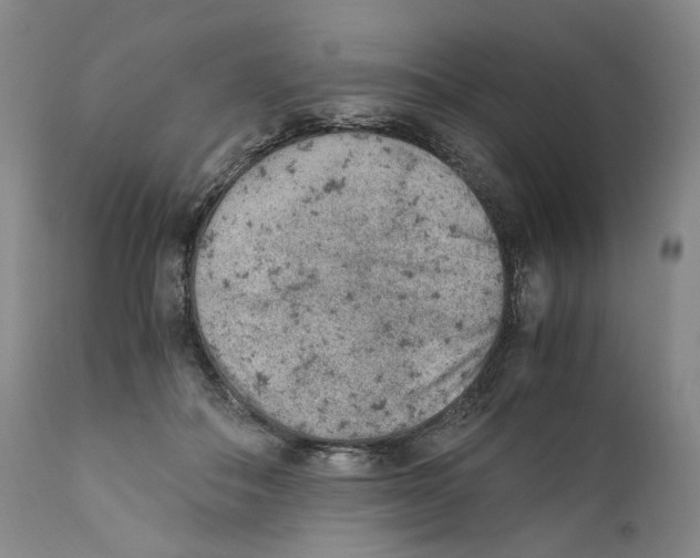 X0000110730506200907101432