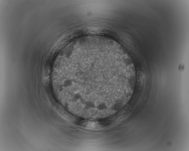 X0000110730507200907101432