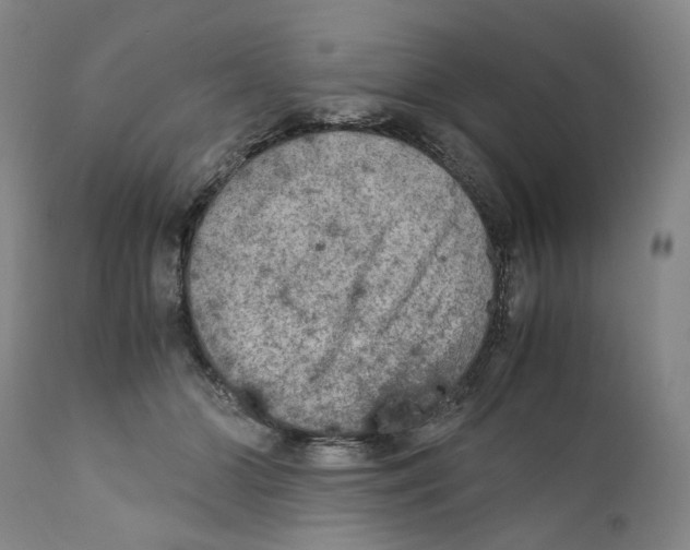 X0000110730510200907101432