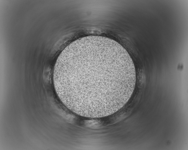 X0000110730511200907101432