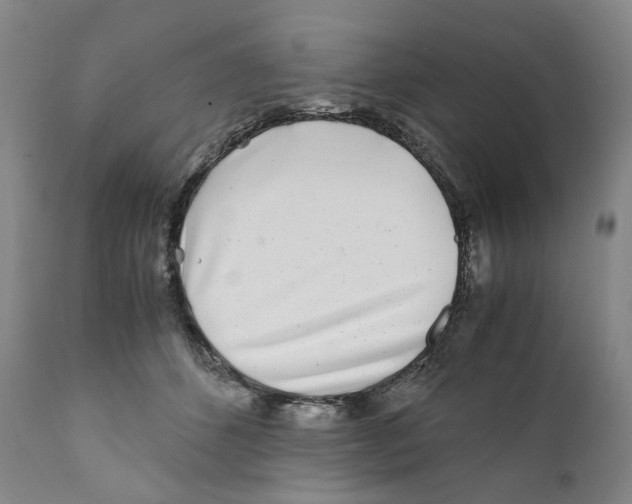 X0000110730512200907101432