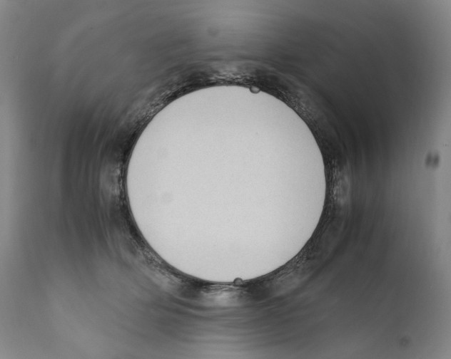 X0000110730514200907101432
