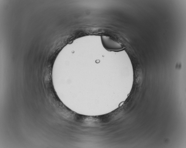 X0000110730515200907101432