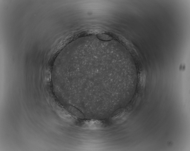 X0000110730517200907101432