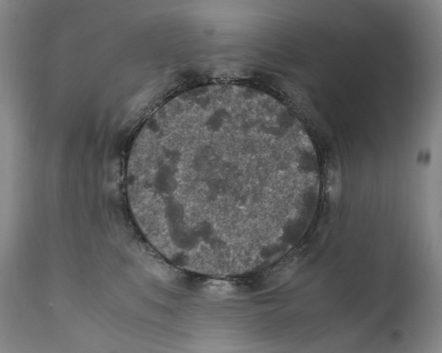 X0000110730519200907101432