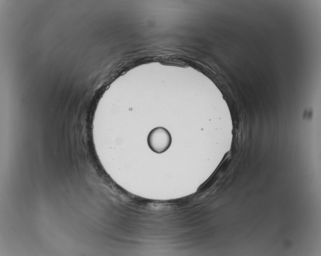 X0000110730520200907101432