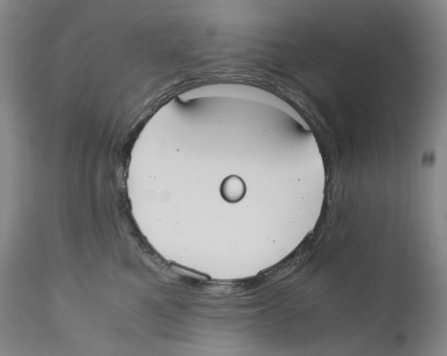 X0000110730521200907101432