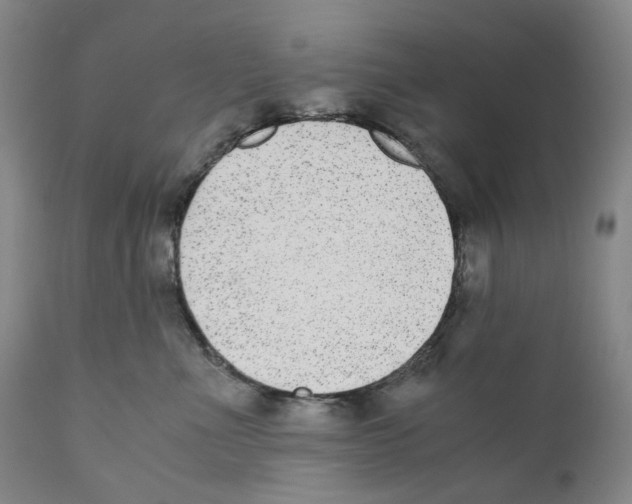 X0000110730523200907101432