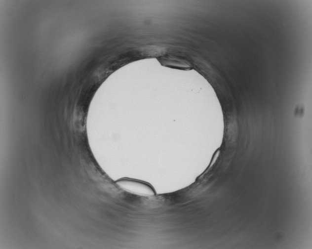 X0000110730525200907101432