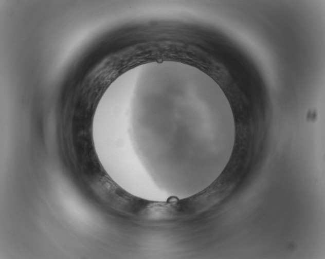 X0000110730526200907101432