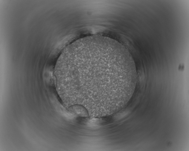 X0000110730527200907101432