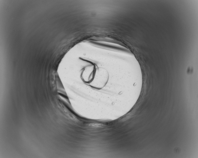 X0000110730528200907101432