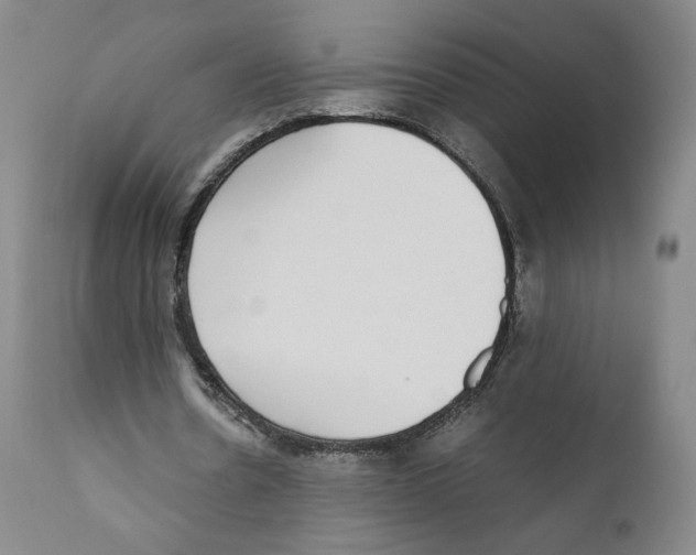 X0000110730530200907101431