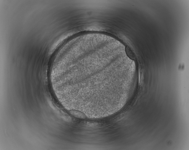 X0000110730531200907101431