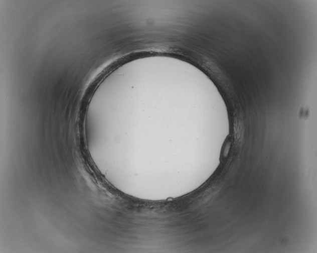 X0000110730532200907101431
