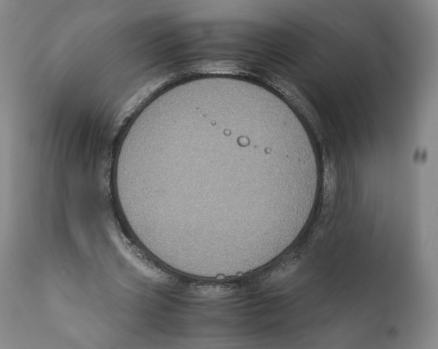 X0000110730533200907101431