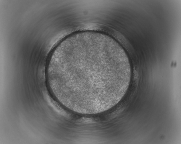 X0000110730534200907101431