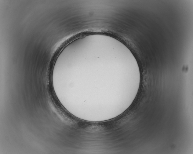 X0000110730536200907101431